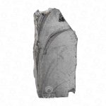 Noble shungite raw stone front view