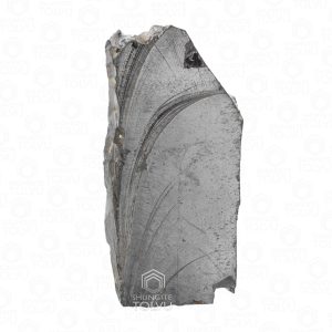 Noble shungite raw stone front view