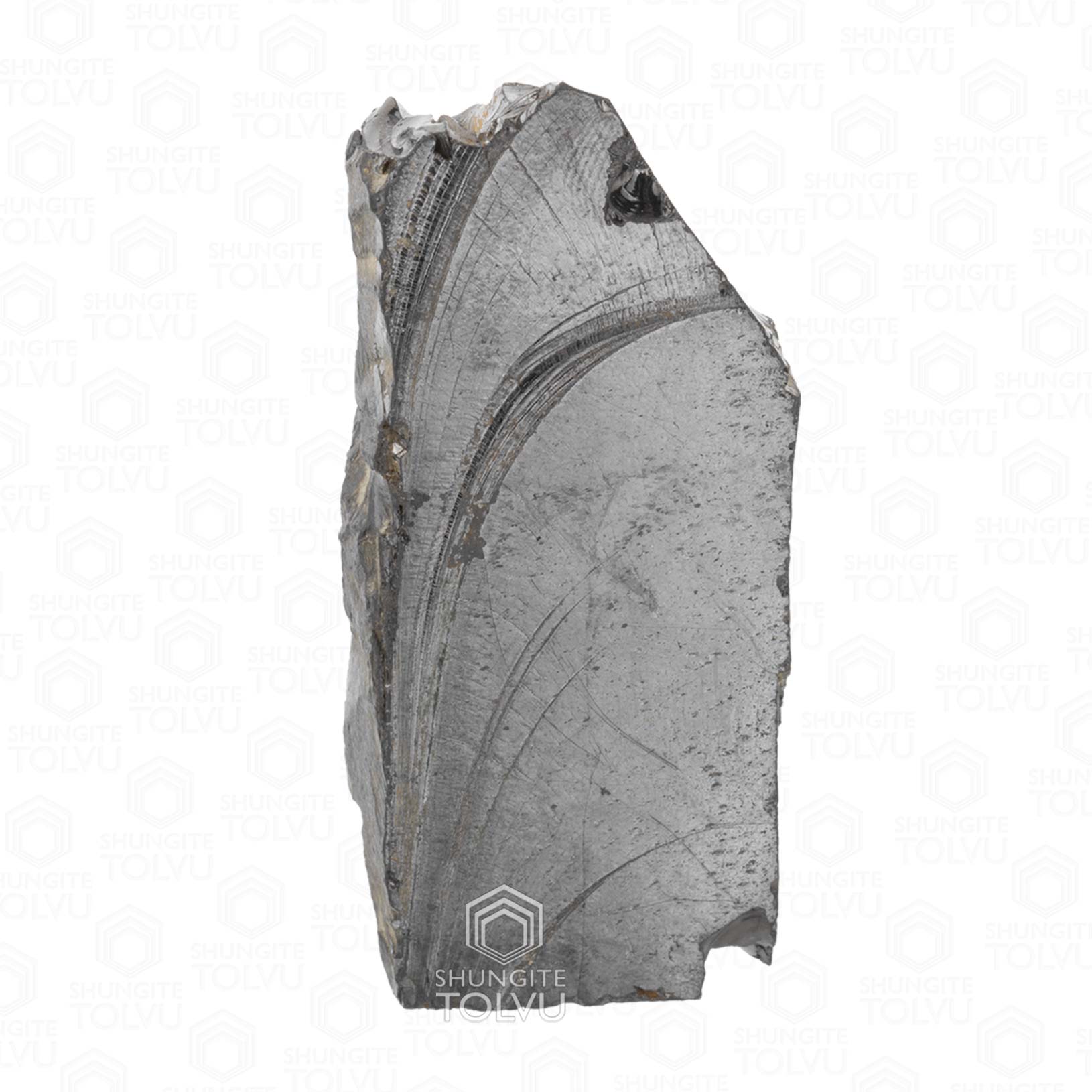 elite-shungite-stone-BE45-foto-7 Noble shungite raw stone front view