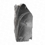 Noble shungite raw stone close-up