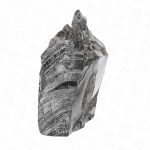 Large elite noble shungite stone side angle