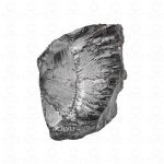 Noble elite shungite stone big close-up