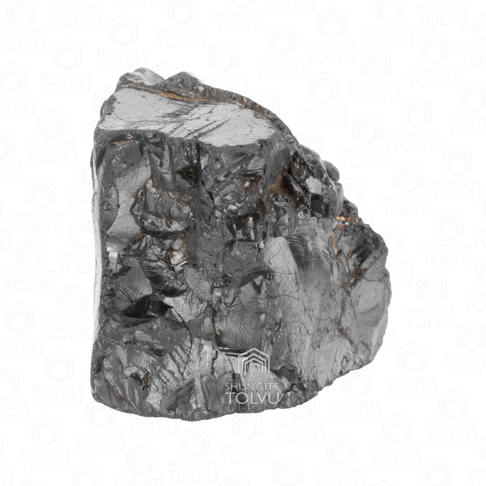 elite-shungite-big-stone-TOLVU-AB-33-02 Noble elite shungite stone big side angle