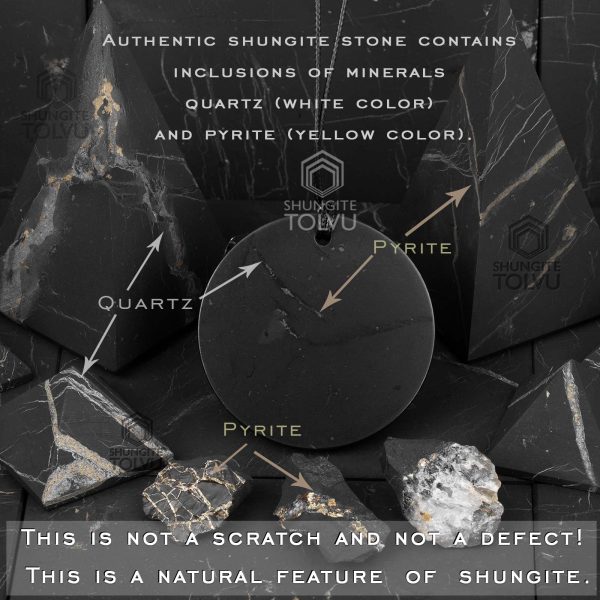 pyrite and quartz in shungite pendant circle of large size