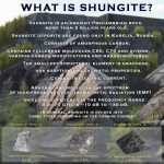 what is shungite